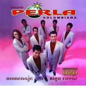 Homenaje a Rigo Tovar