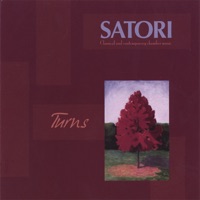 Turns - Satori