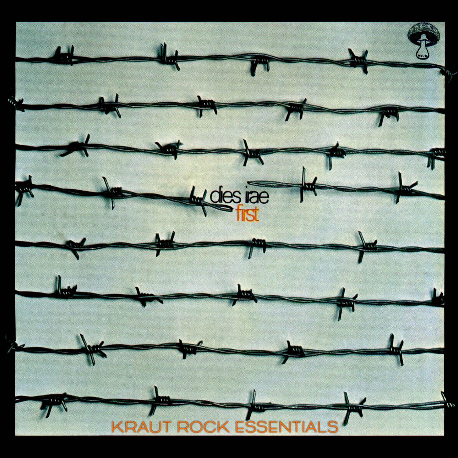 Kraut Rock Essentials