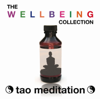 The Wellbeing Collection - Tao Meditation (The Wellbeing Collection - Tao Meditation) - Sacre