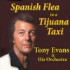 Spanish Flea in a Tijuana Taxi