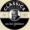 Big Bill Broonzy - 1951 kunstwerk