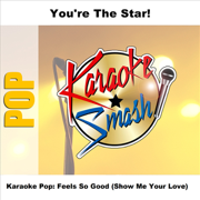 Feels So Good [Show Me Your Love] (Karaoke-Version) - As Made Famous By: Lina Santiago - Various Artists