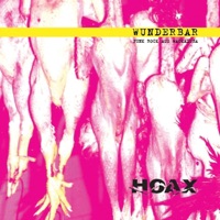 Wunderbar - Punkrock aus Wakaluba - Dietmar Wischmeyer & Hoax