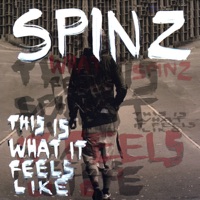 This Is What It Feels Like - Spinz