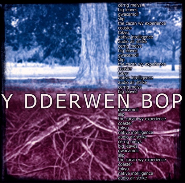 Y Dderwen Bop