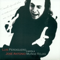 Luis Perdiguero Canta a José Antonio Muñoz Rojas (feat. Antonio Carrion, Antonio Carmona & Jose Carmona) - Luis Perdiguero