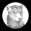 Need Your Lovin (Tiger & Woods Remix) - Single