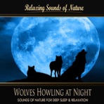 Wolves Howling At Night (Nature Sounds) - Single