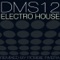 Electro House - DMS12 lyrics
