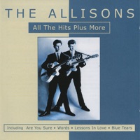 The Allisons - Lessons In Love (Re-Recorded)