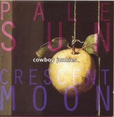 Cowboy Junkies - Pale Sun