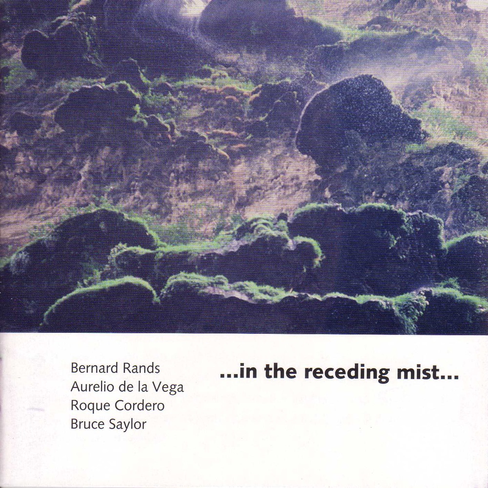 Обложка альбома «Rands, B.: …In the Receding Mist… - Vega, A. de La: Testimonial - Cordero, R.: Dodecaconcerto - Saylor, B.: See You In the Morning» — North-South Consonance Ensemble, Max Lifchitz, Anne Marie Ketchum & Constance Beavon