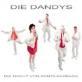 Die Nacht von Santa Barbara