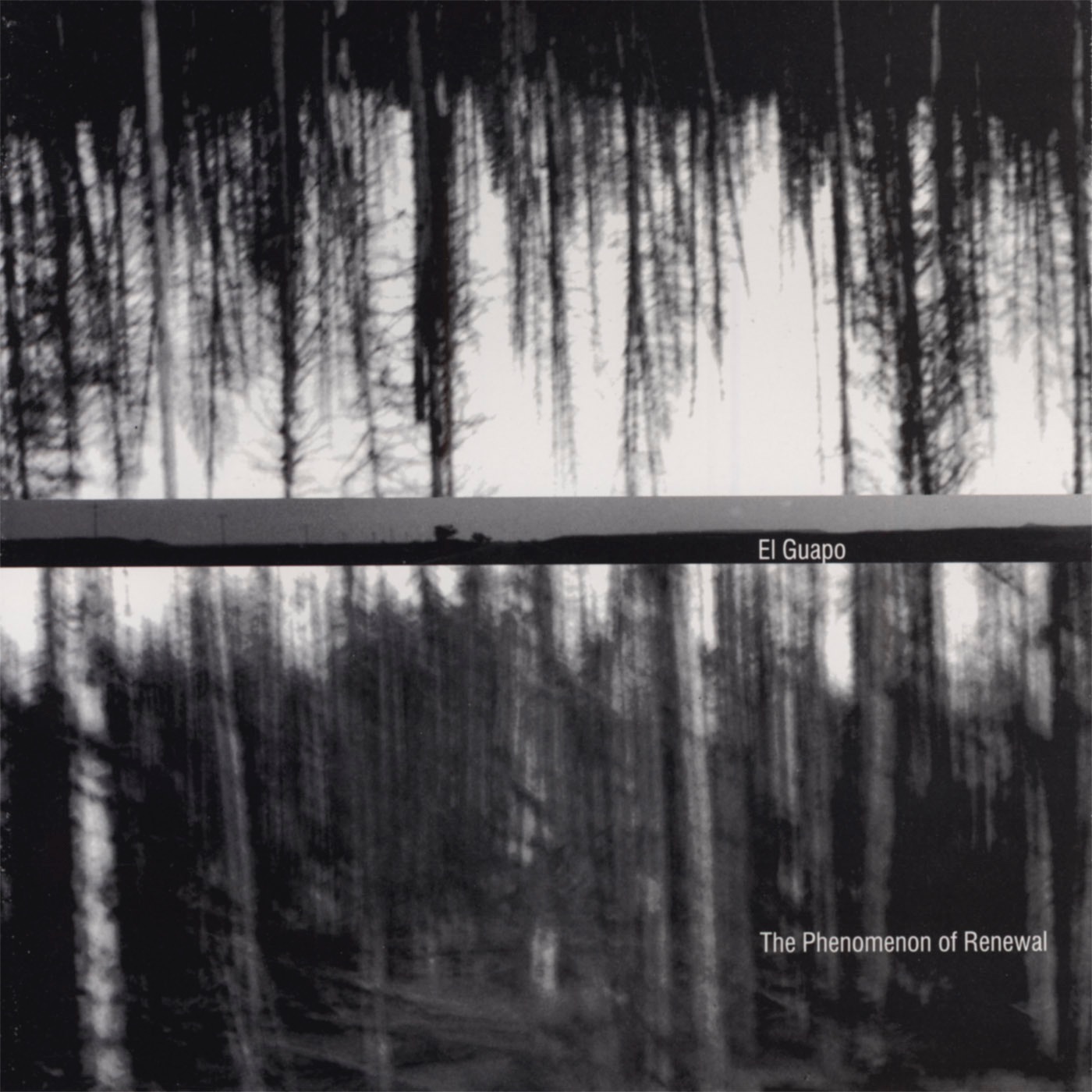 The Phenomenon of Renewal