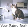 Your Baby's Brain
