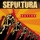 Sepultura-Sepulnation