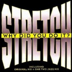 Why Did You Do It (Original Mix)