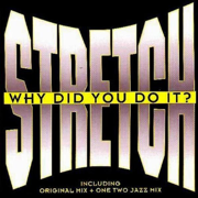 Why Did You Do It (Original Mix) - Stretch