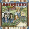 The Grassmasters - Janie's Got a Gun