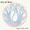 Sea of Bees - Sidepain