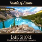 Lake Shore (Nature Sounds)