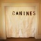 Dead Ends - Canines lyrics