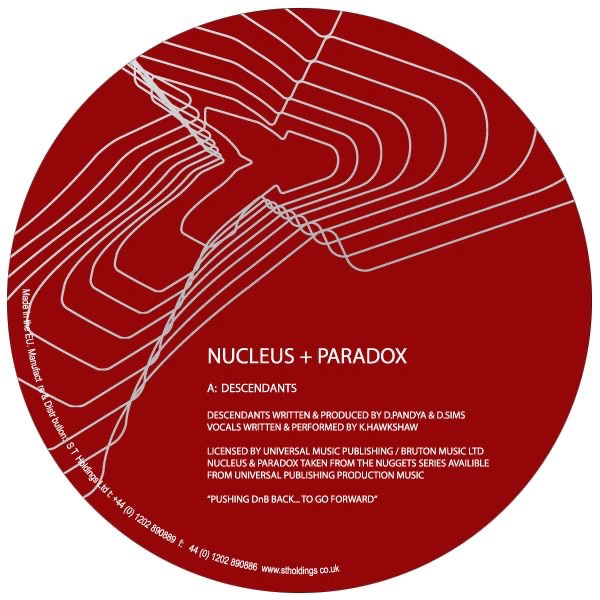 Descendants / Night Theme (Paradox Remix) - EP album cover