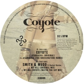 Ayahuasca Coyote