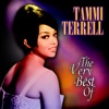 Tammi Terrell