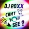 Can't You See? (DJ THT Extended Mix) - DJ Roxx lyrics