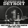 I'll Be Your Champion cover art