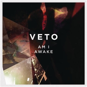 Am I Awake or Should I Wake Up - Single