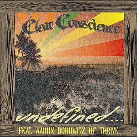 Undefined (feat. Aaron Borowitz of Thrive) Clear Conscience