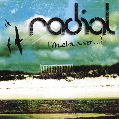 Ascolta 'Prueba a Ver...' di Radial