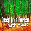 Music with Nature Sound - Relaxing In the Forest With Music Nature Sounds for Meditation and Well Being