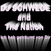 DJ Schwede And The Nation - Ich hab geträumt von dir (Radio Edit)