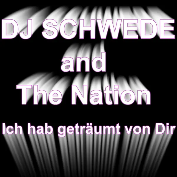 Ich hab geträumt von dir (Radio Edit) — DJ Schwede And The Nation