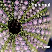 Minimal adlı sanatçının Tiny Can albümünü dinle