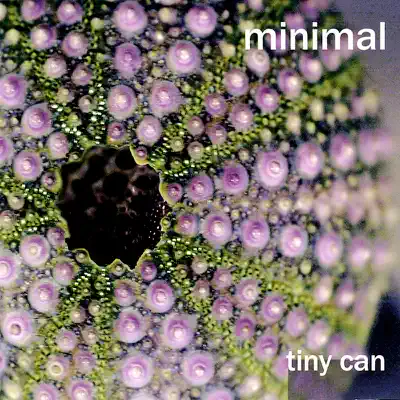 Listen to Tiny Can by Minimal