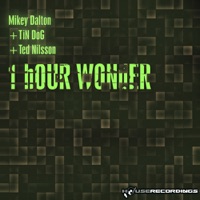 1 Hour Wonder - Mikey Dalton, Ted Nilsson & Tin Dog