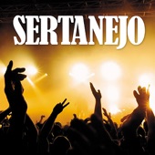 Sertanejo artwork