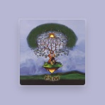 Enchanted Ape