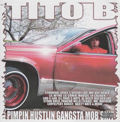 Pimpin Hustlin Gangsta Mob Shit