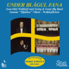 Swing & Sweet Big Band - Under Bl&aring;gul Fana bild