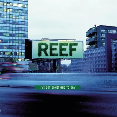 I've Got Something to Say - Single - Reef