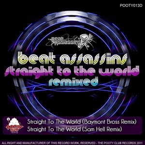 Straight To The World - Single