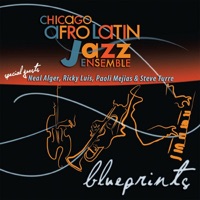 Chicago Afro Latin Jazz Ensemble - Bossa Pegajosa