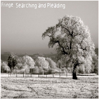 Searching & Pleading