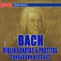 Partita No. 2 In D Minor For Solo Violin, BWV 1004: V. Chaconne [wb]